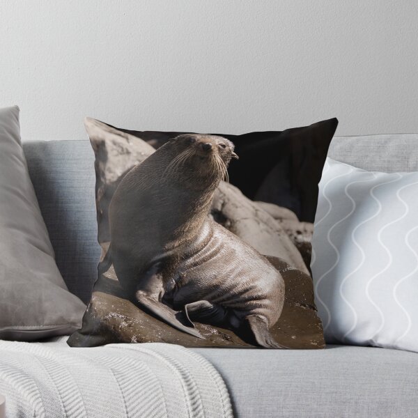 Item preview, Seal at Cape Bridgewater designed and sold by Aden Brown.
