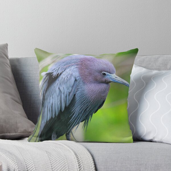 Item preview, Little Blue! designed and sold by Anthony Goldman.