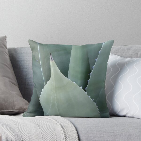 Item preview, Agave designed and sold by Bill Morgenstern.