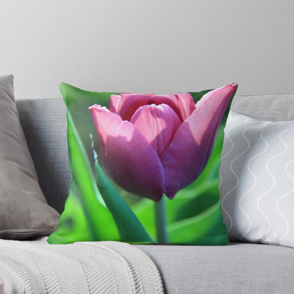 Item preview, Evening Light designed and sold by mim304.