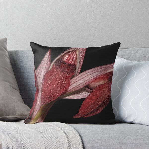 Item preview, SERAPIAS PARVIFLORA designed and sold by andrachne.