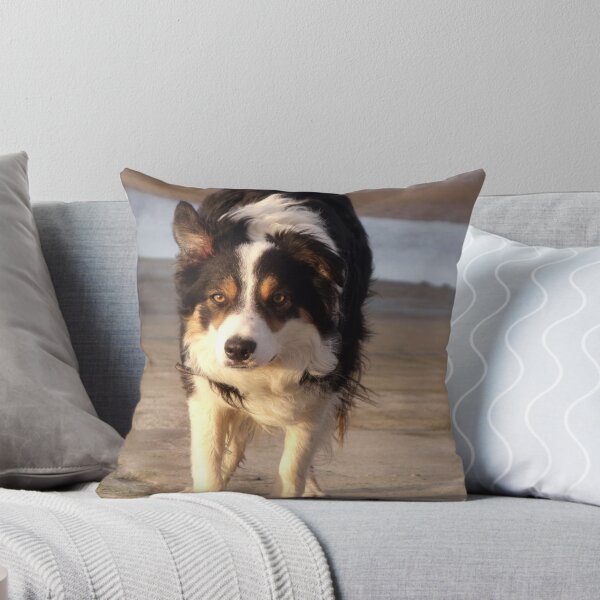 Item preview, Happy Easter from Mike and Laddie designed and sold by Michael Haslam.