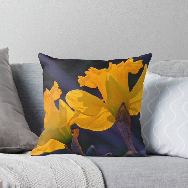 Item preview, Daffodils in the setting sun.  ( 2 ) designed and sold by NatureGreeting Cards ©ccwri.