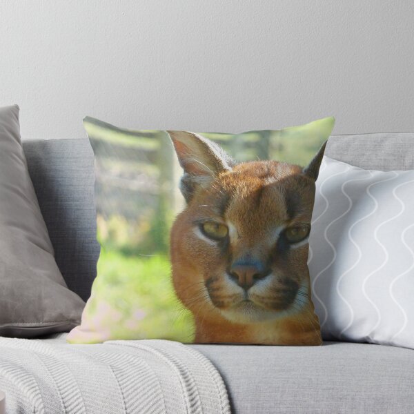 Item preview, Caracal designed and sold by Ihazart.
