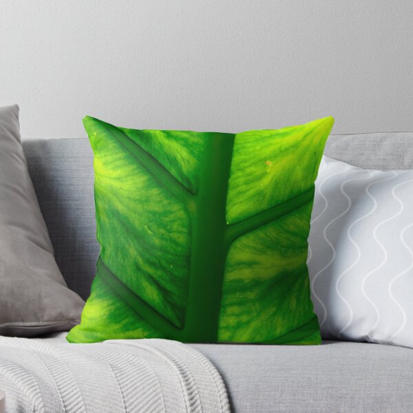 Item preview, Philodendron giganteum Schott designed and sold by GD-Images.