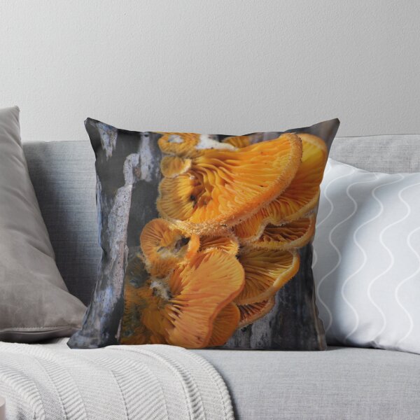 Artikelvorschau, Orange Fungi entworfen und verkauft von Laurie Minor.
