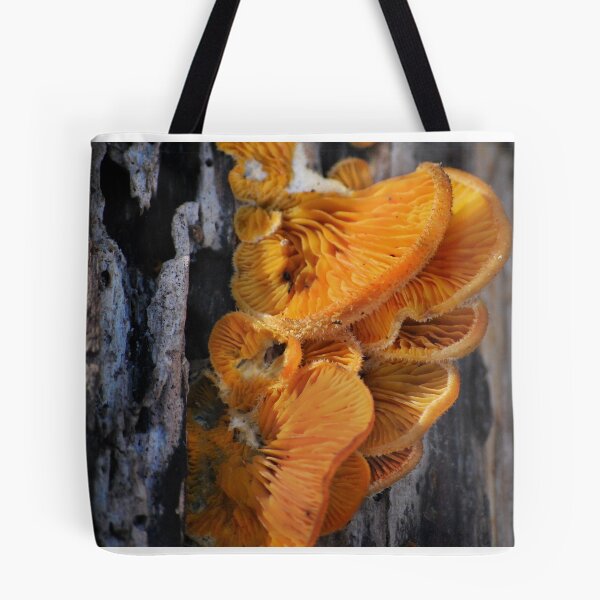 Item preview, Orange Fungi designed and sold by Laurie Minor.