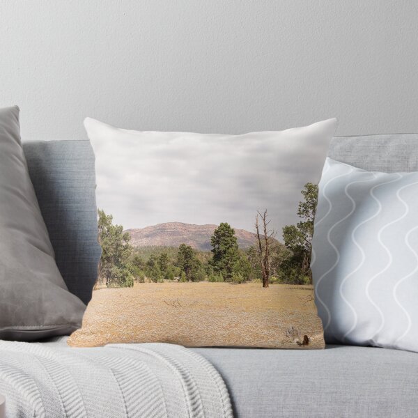 Item preview, Wilpena Pound viewed from Sacred Canyon Road designed and sold by samg.