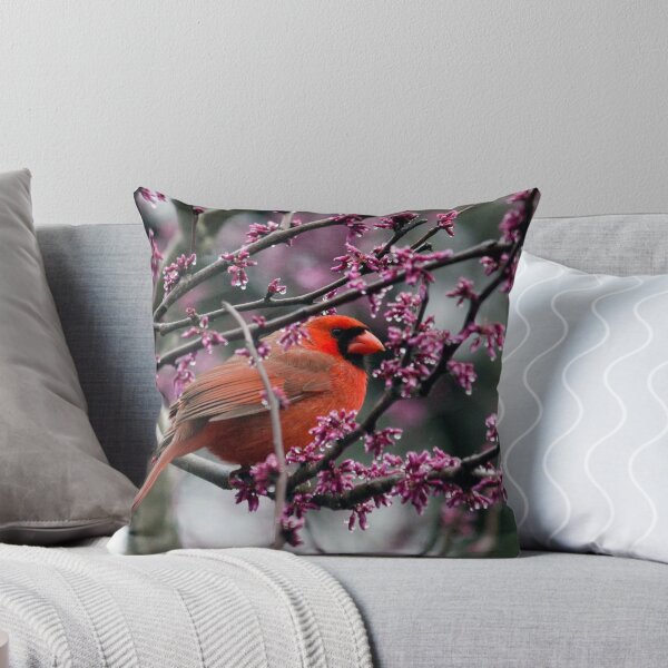 Item preview, Northern Cardinal (Cardinalis cardinalis) designed and sold by Liam Wolff.