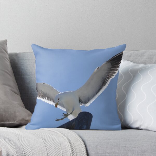 Item preview, Steady now..... designed and sold by Antionette.