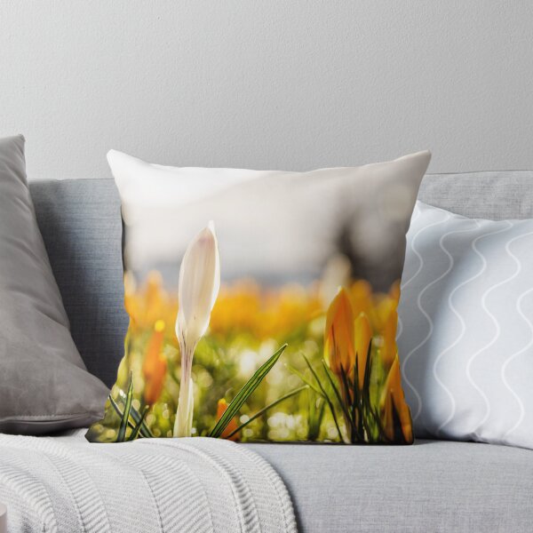 Item preview, Spring is here! Bergen, Norway. designed and sold by Paulius Bruzdeilynas.