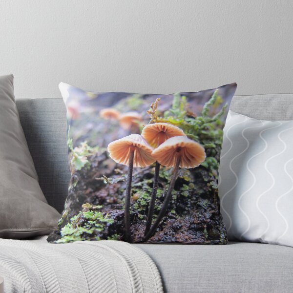 Item preview, Rainforest No.2 designed and sold by Kitsmumma.
