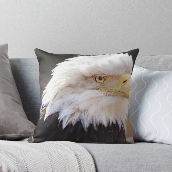 Artikelvorschau, Bald Eagle profile 02 entworfen und verkauft von cadman101.