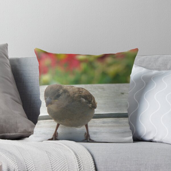 Item preview, Scilly Sparrow designed and sold by Lauren McGregor.