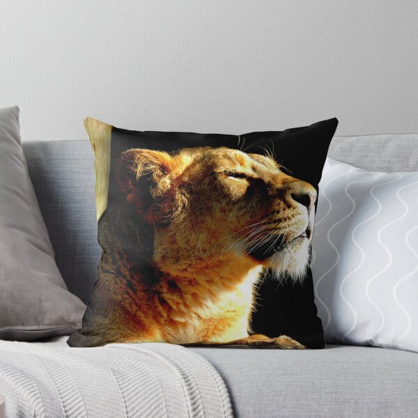 Item preview, Basking Lioness designed and sold by Barnbk02.