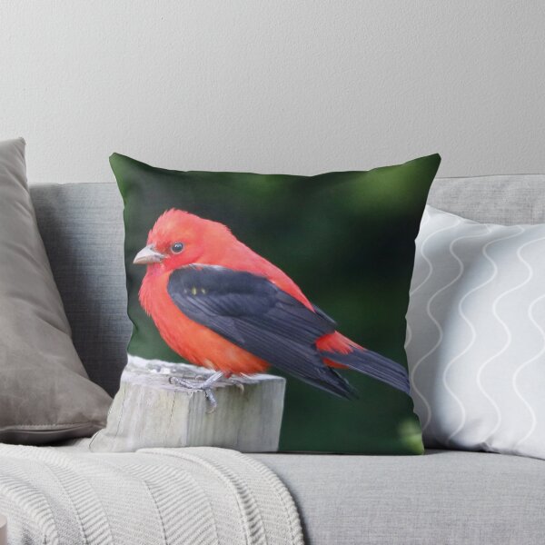 Item preview, Scarlet Tanager designed and sold by SuddenJim.