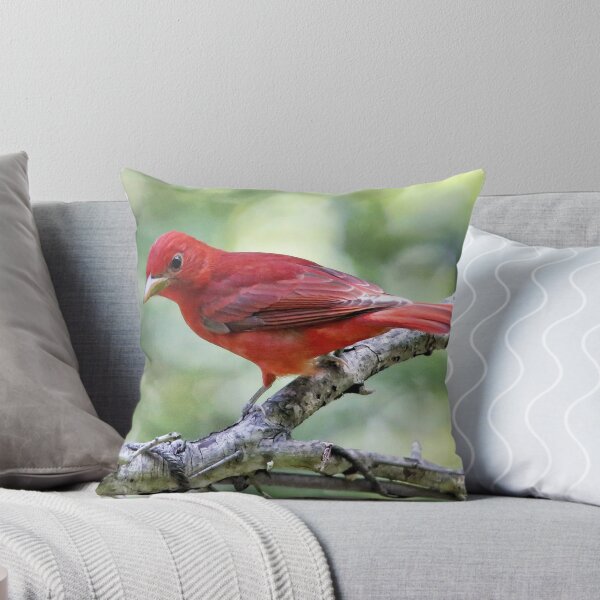 Item preview, Summer Tanager designed and sold by SuddenJim.