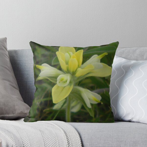 Item preview, Indian Paintbrush, not quite red..... designed and sold by Navigator.
