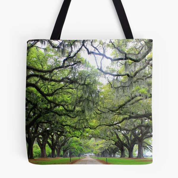 Item preview, Live Oaks at Boone Hall designed and sold by Cecilia Carr.