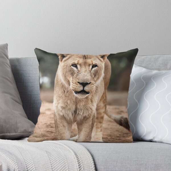 Item preview, Lioness - Looking at You designed and sold by Tamazical.