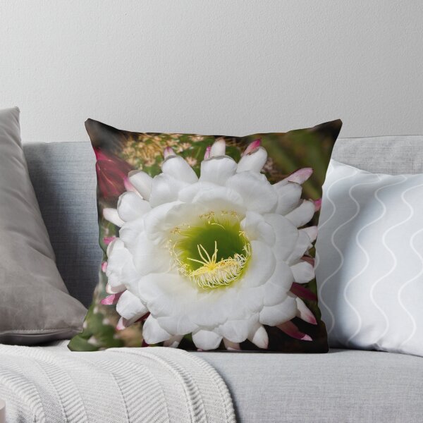 Item preview, When the Desert Blooms designed and sold by TeresaB.