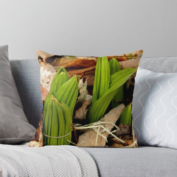Item preview, Coming forth to meet Spring designed and sold by ctheworld.