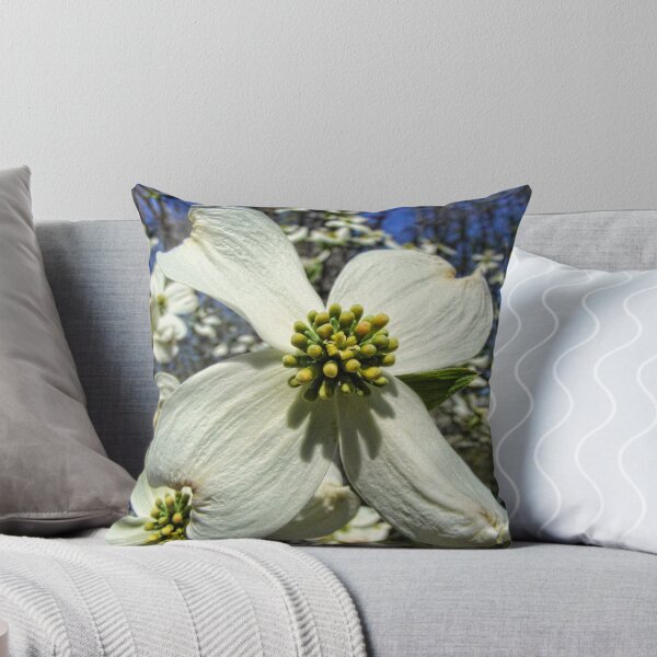 Item preview, Spring in Missouri designed and sold by barnsis.
