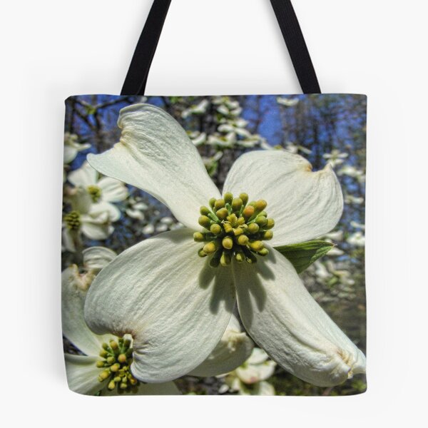 Item preview, Spring in Missouri designed and sold by barnsis.