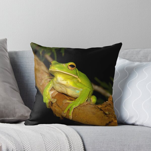 Item preview, Green Tree Frog designed and sold by Wendy Sinclair.
