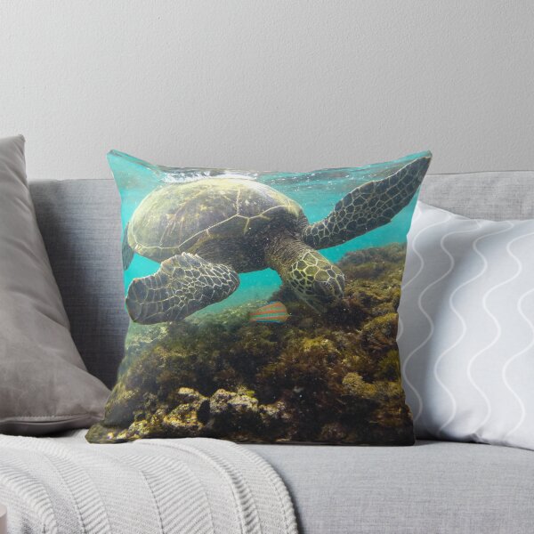 Item preview, A Turtle and Friend designed and sold by mikewheels.
