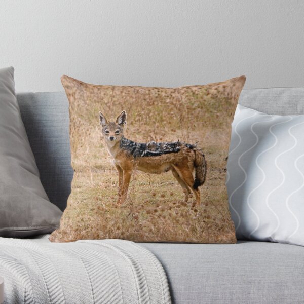 Black backed Jackal Throw Pillow