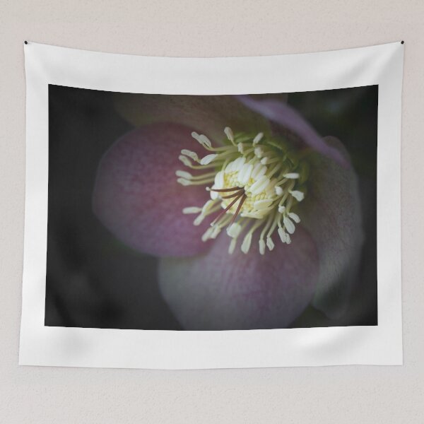 Item preview, Hellebore designed and sold by jenndes.