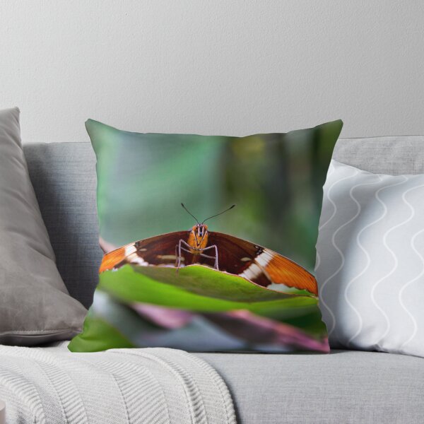 Item preview, Large Mindo Butterfly At Rest designed and sold by alabca.