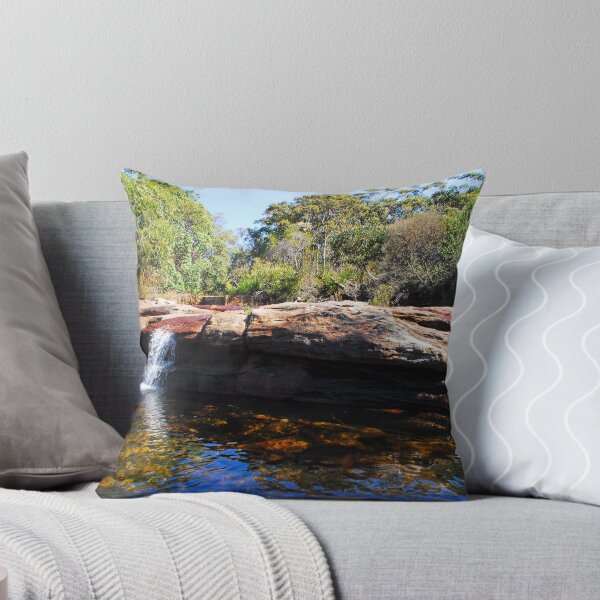 Item preview, Royal National Park - Sydney designed and sold by kelliejane.