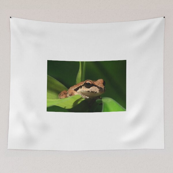 Item preview, Grinner designed and sold by Ken Boxsell.