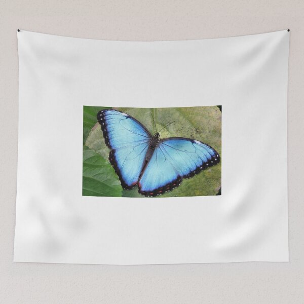 Item preview, Blue Blue Morpho So Blue designed and sold by Jo Nijenhuis.