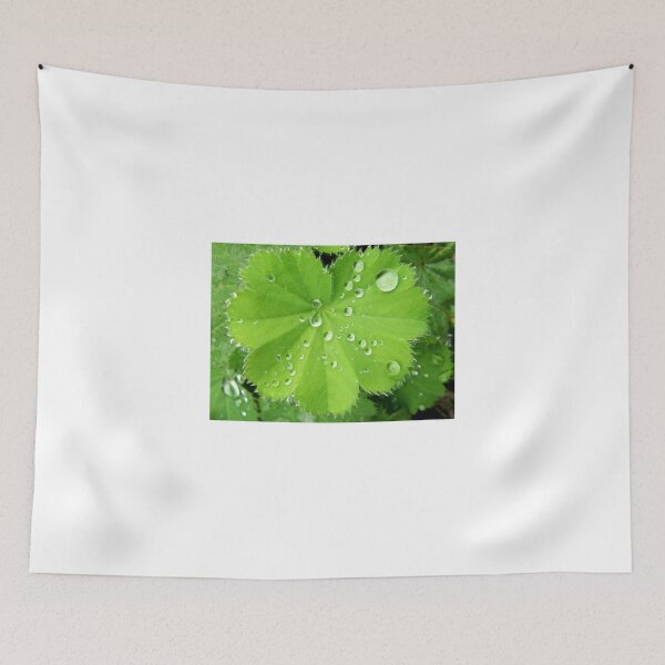 Item preview, When the last Tear Drop Falls designed and sold by mikequigley.
