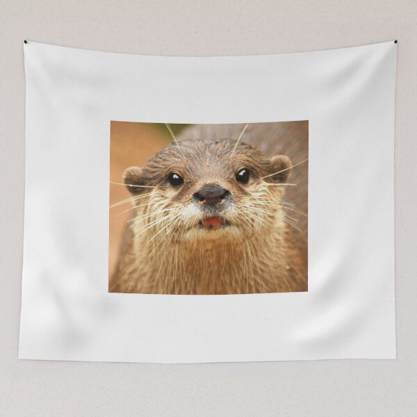 Item preview, Asian Small Clawed Otter designed and sold by Anthony Hedger Photography.