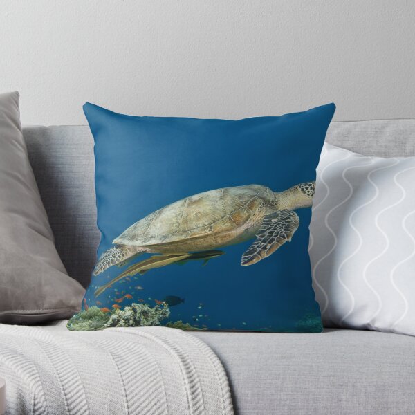 Chelonia Mydas Throw Pillow