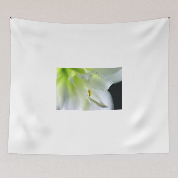 Item preview, Springtime's Beauty designed and sold by SmoothBreeze7 | Liz Collet Photography.
