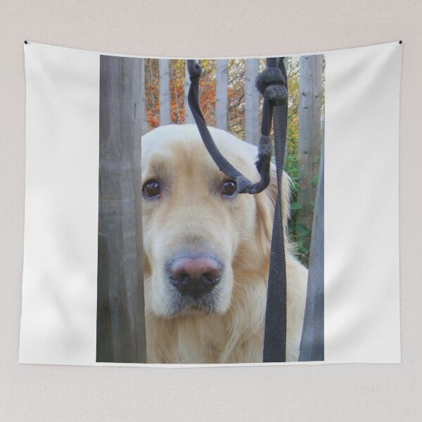 Item preview, I am... designed and sold by Eugenio.