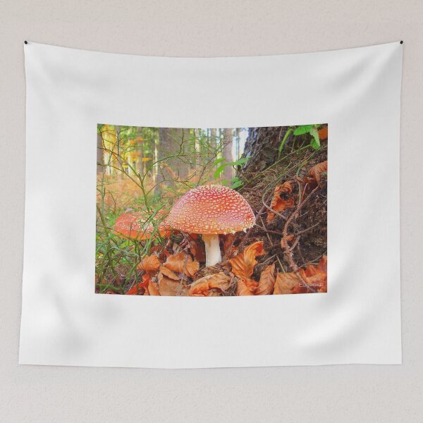 Item preview, Toadstools !! designed and sold by Eugenio.