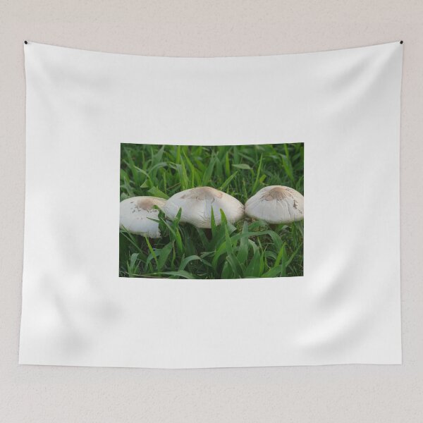 Item preview, MUSHROOM TRIO designed and sold by Carla Jensen.