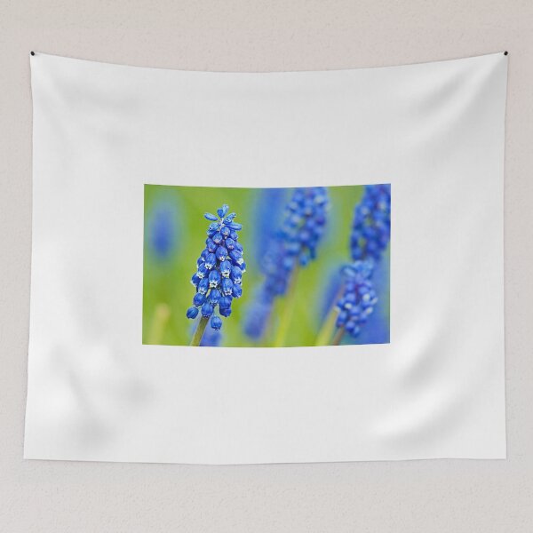 Item preview, Grape Hyacinth designed and sold by Stuart Robertson Reynolds.