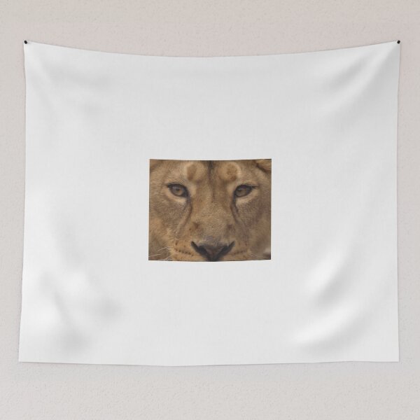 Item preview, Asiatic Lioness designed and sold by francophotos.