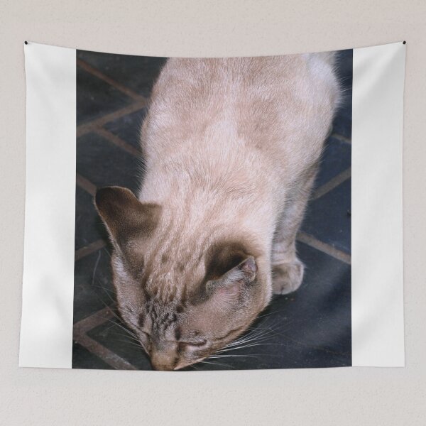 Item preview, Checking out the goodies designed and sold by B. Randi Bailey.