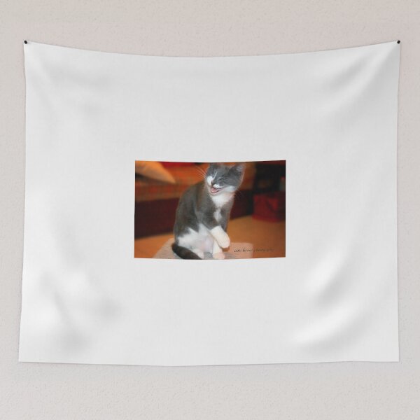 Item preview, Chuckles © Vicki Ferrari Photography designed and sold by Vicki Ferrari Photography.