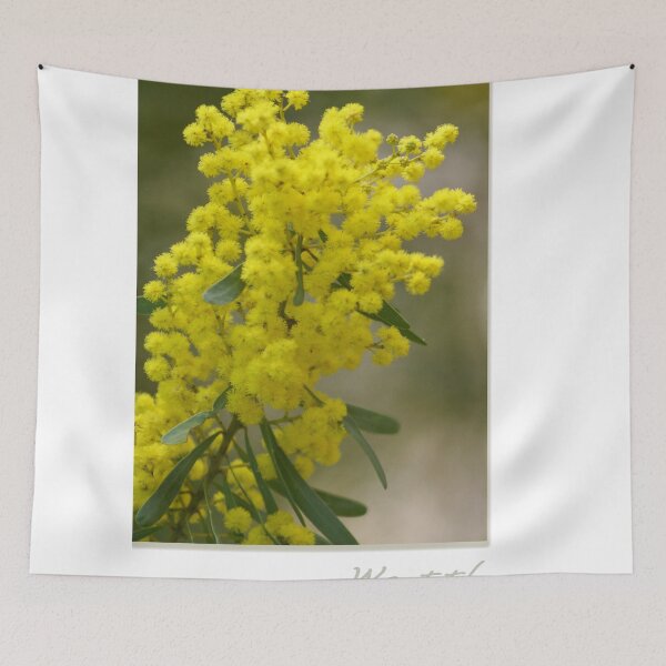 Item preview, Wattle designed and sold by Holly Kempe.