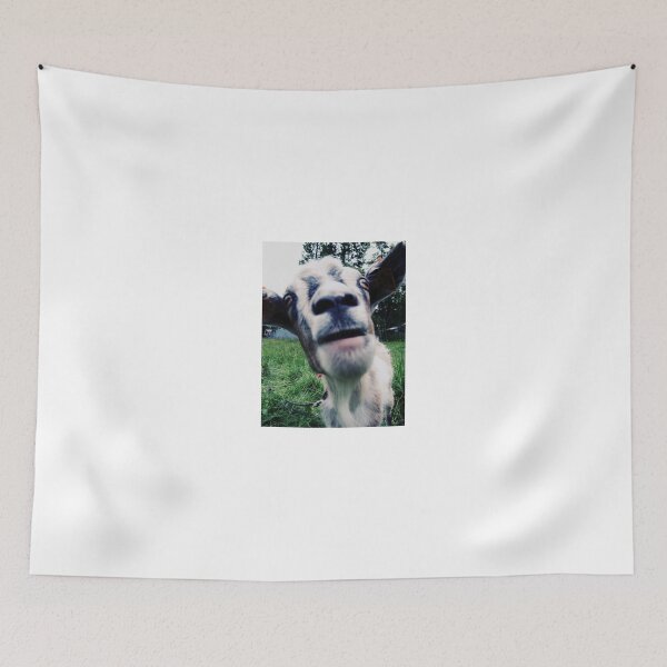 Item preview, bah! designed and sold by Zoe Gourdie.