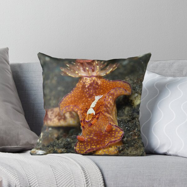 Item preview, Shrimp on top designed and sold by Valerija S.  Vlasov.